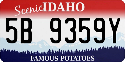 ID license plate 5B9359Y