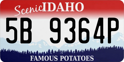 ID license plate 5B9364P