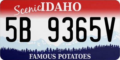 ID license plate 5B9365V