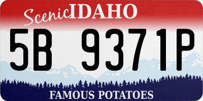 ID license plate 5B9371P
