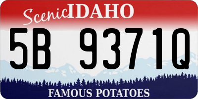 ID license plate 5B9371Q