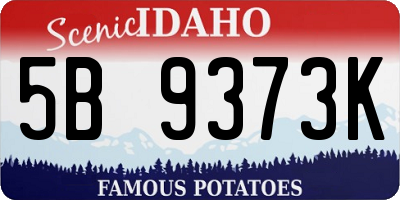 ID license plate 5B9373K