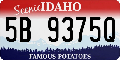 ID license plate 5B9375Q