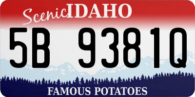 ID license plate 5B9381Q
