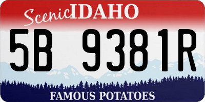 ID license plate 5B9381R