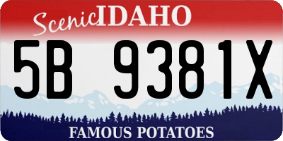 ID license plate 5B9381X