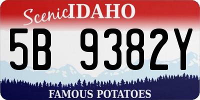 ID license plate 5B9382Y