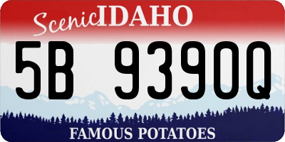 ID license plate 5B9390Q