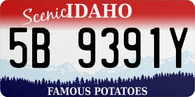 ID license plate 5B9391Y