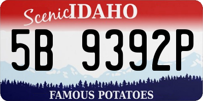 ID license plate 5B9392P