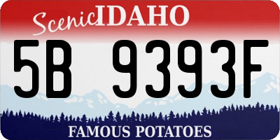 ID license plate 5B9393F