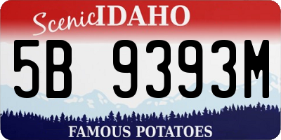 ID license plate 5B9393M