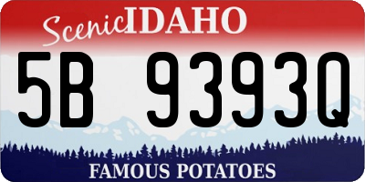 ID license plate 5B9393Q