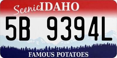 ID license plate 5B9394L