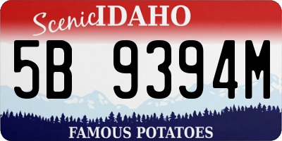 ID license plate 5B9394M
