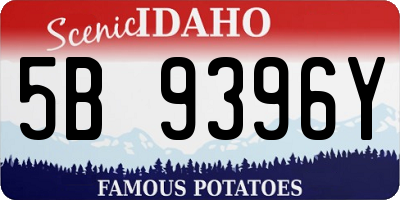 ID license plate 5B9396Y
