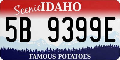 ID license plate 5B9399E