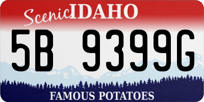 ID license plate 5B9399G