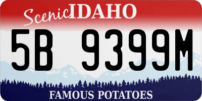 ID license plate 5B9399M