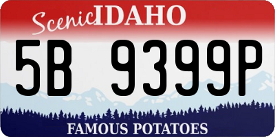 ID license plate 5B9399P