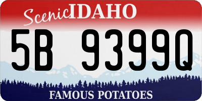 ID license plate 5B9399Q