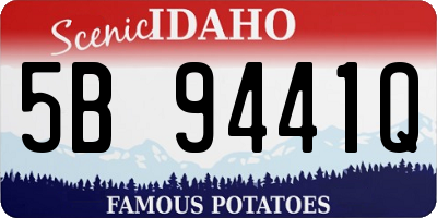 ID license plate 5B9441Q