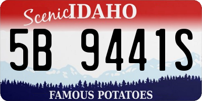ID license plate 5B9441S