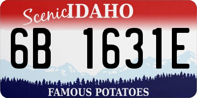 ID license plate 6B1631E