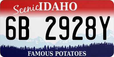 ID license plate 6B2928Y