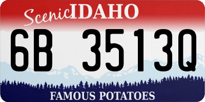 ID license plate 6B3513Q