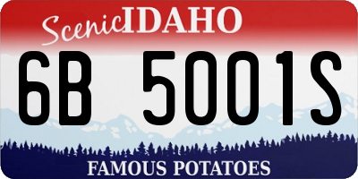 ID license plate 6B5001S