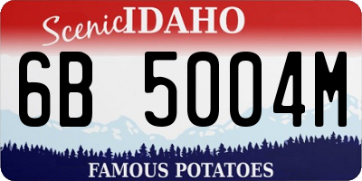 ID license plate 6B5004M