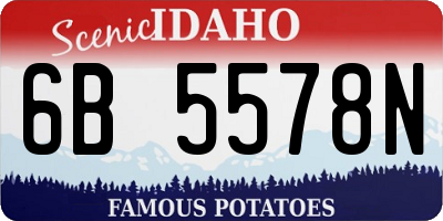 ID license plate 6B5578N