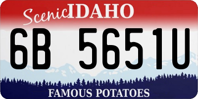 ID license plate 6B5651U
