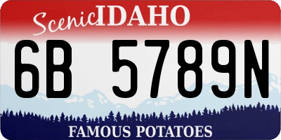 ID license plate 6B5789N