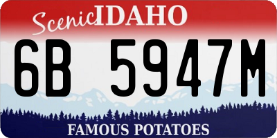 ID license plate 6B5947M