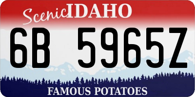 ID license plate 6B5965Z