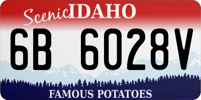 ID license plate 6B6028V