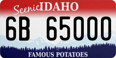 ID license plate 6B6500O