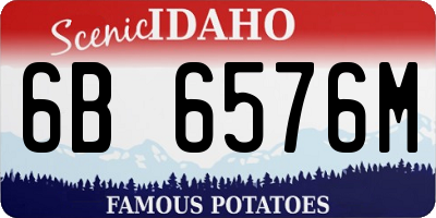 ID license plate 6B6576M
