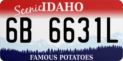 ID license plate 6B6631L