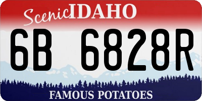ID license plate 6B6828R