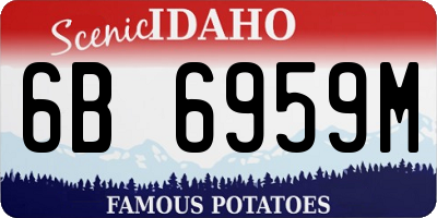 ID license plate 6B6959M