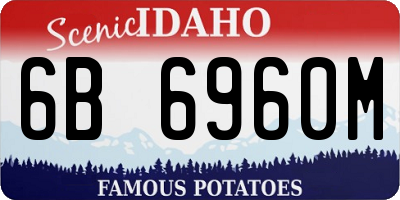 ID license plate 6B6960M
