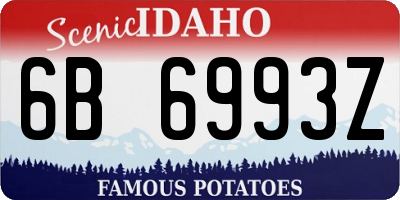 ID license plate 6B6993Z