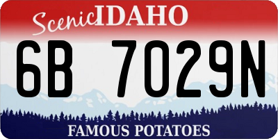 ID license plate 6B7029N