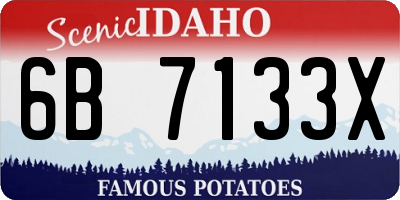 ID license plate 6B7133X