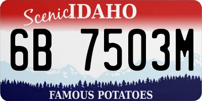 ID license plate 6B7503M