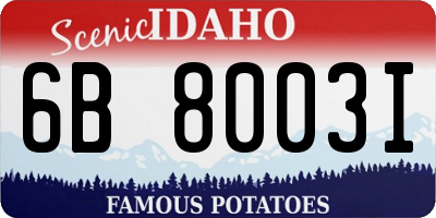 ID license plate 6B8003I