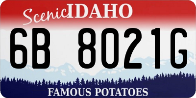 ID license plate 6B8021G